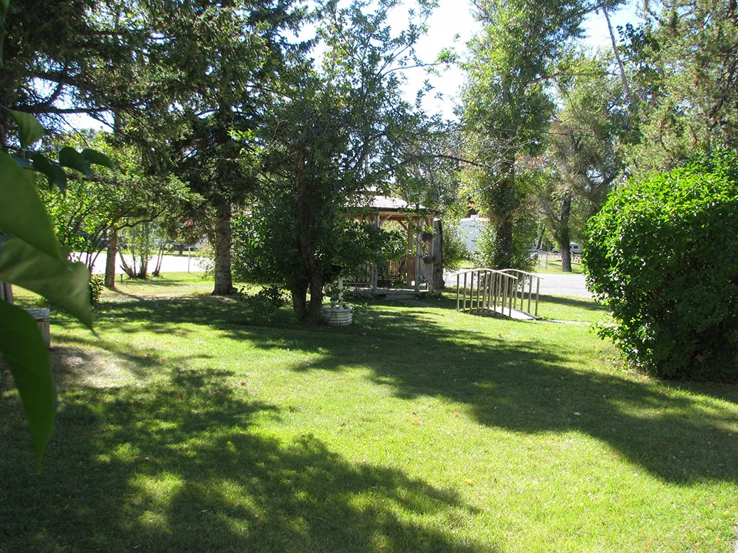 The shaded lawn and grounds